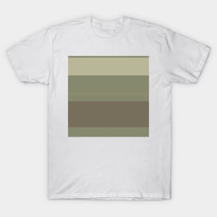 An unexampled union of Quincy, Pastel Brown, Brown Grey, Putty and Brown Grey stripes. T-Shirt